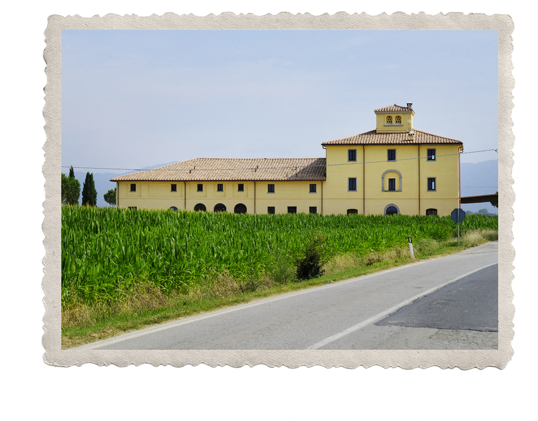 Azienda agricola Ferrara