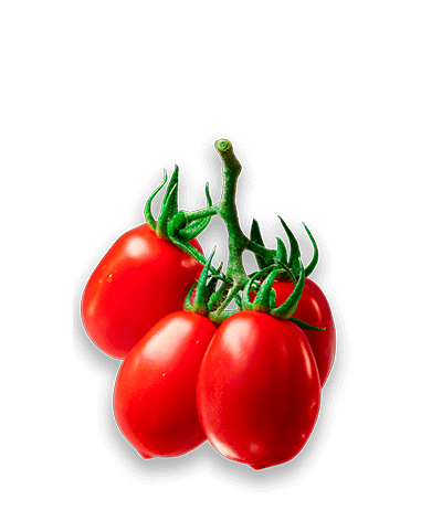 pomodoro_passata_over