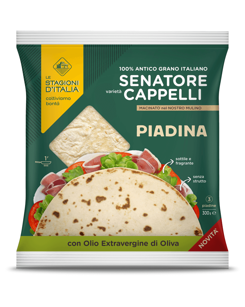 LSI_render_PIADINA